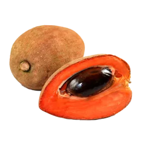 Sapote aliejus - ekologiška žaliava (Pouteria sapota )